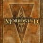 The Elder Scrolls III: Morrowind