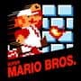 Super Mario Bros.